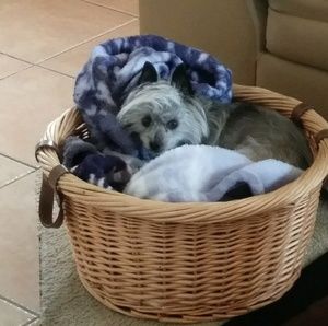 Meet your Posher, Lori